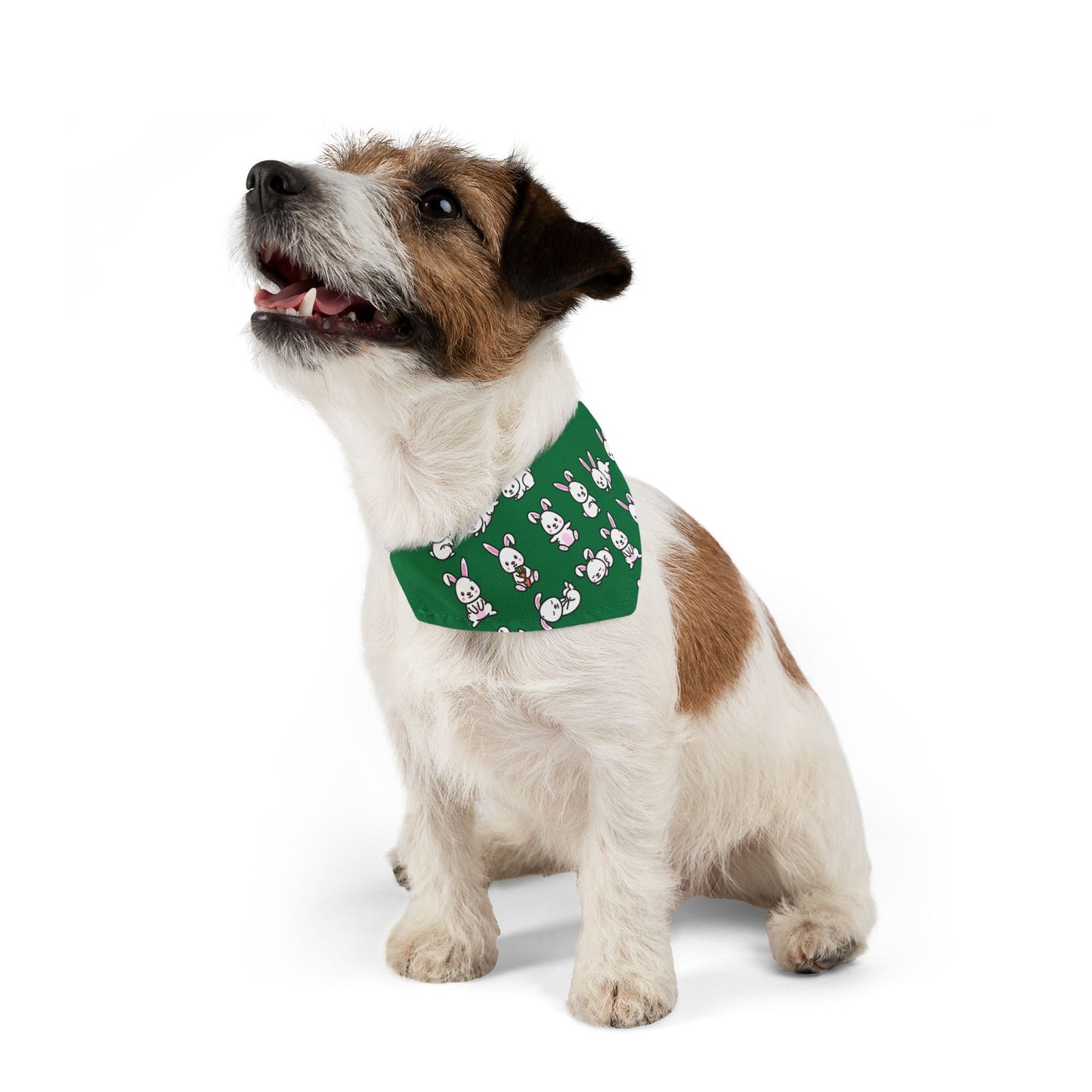Playful Bunny Pet Bandana Collar