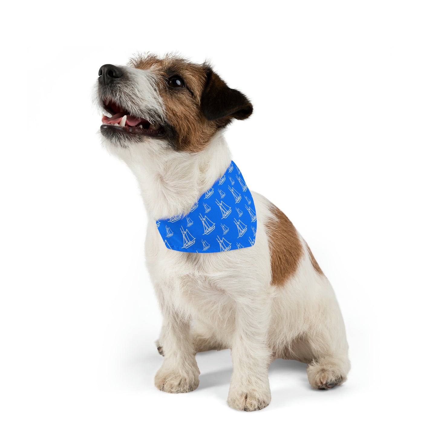 Preppy Paws Nautical Adventure Bandana