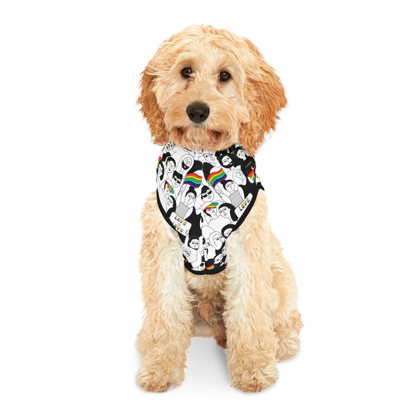 Love is Love Celebration Pet Hoodie