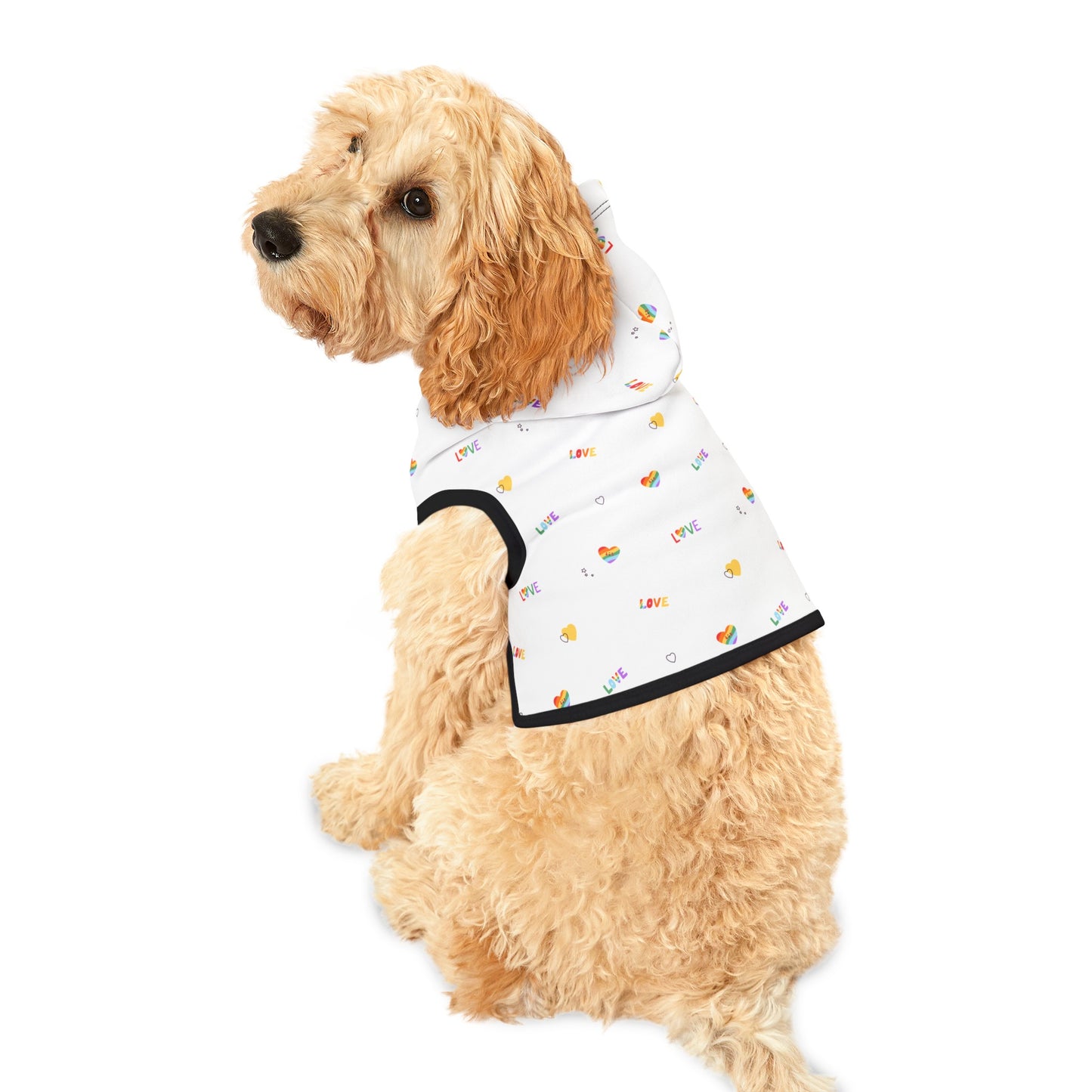 Rainbow Love Pet Hoodie