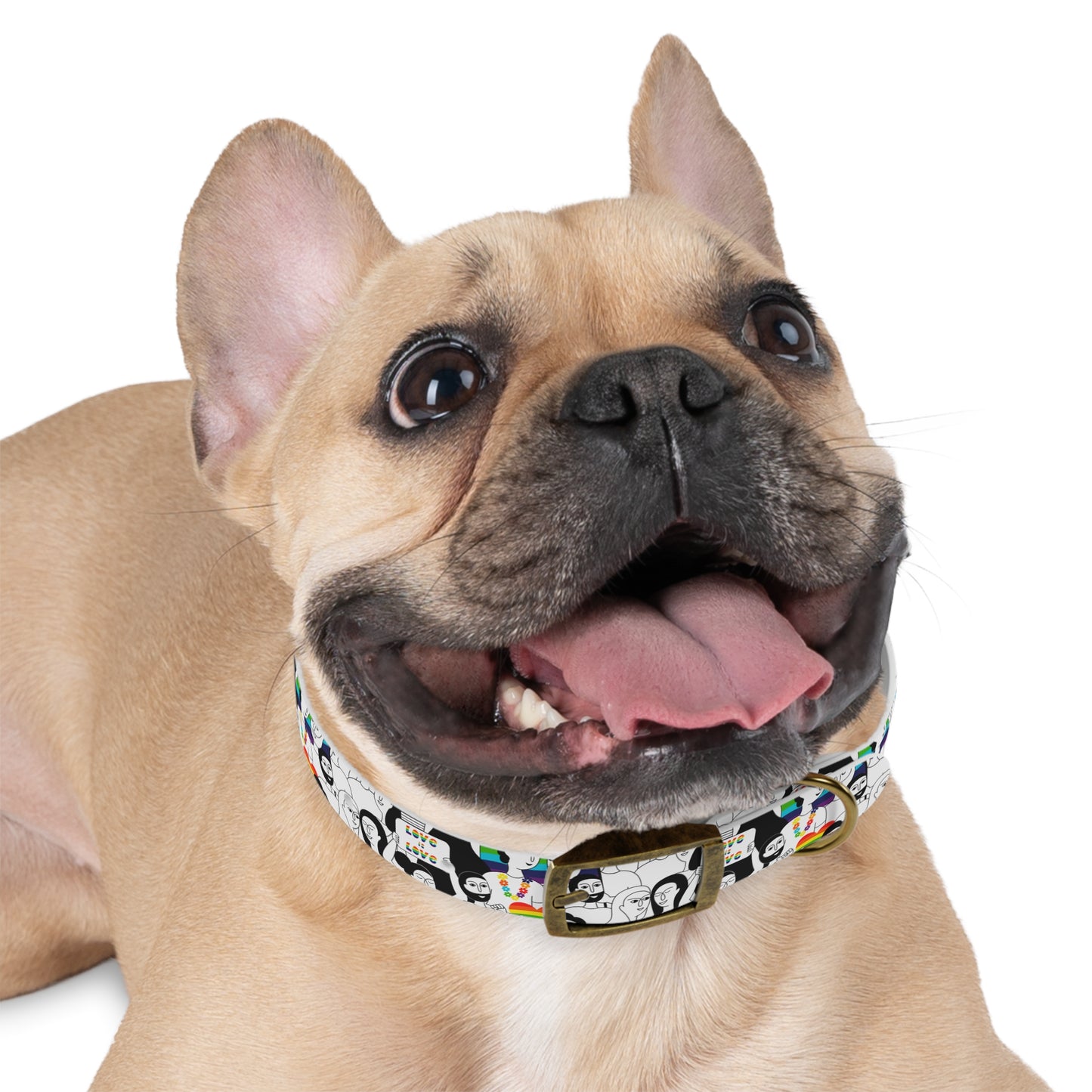 Love is Love Celebration Dog Collar