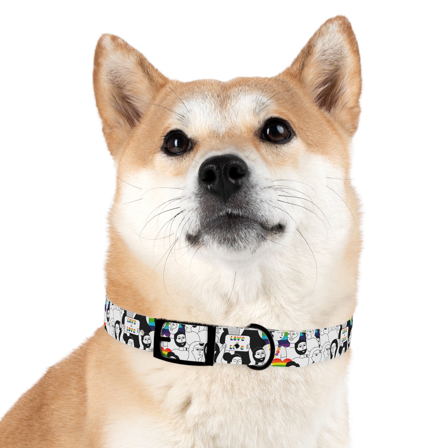 Love is Love Celebration Dog Collar