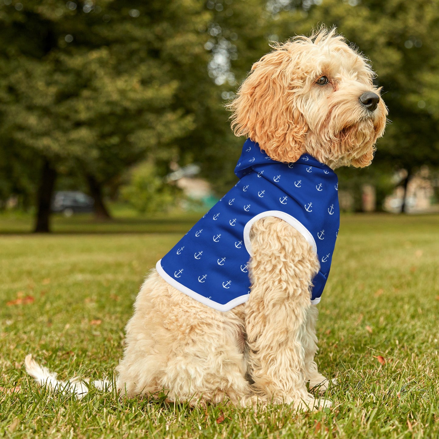 Preppy Anchor Pet Hoodie