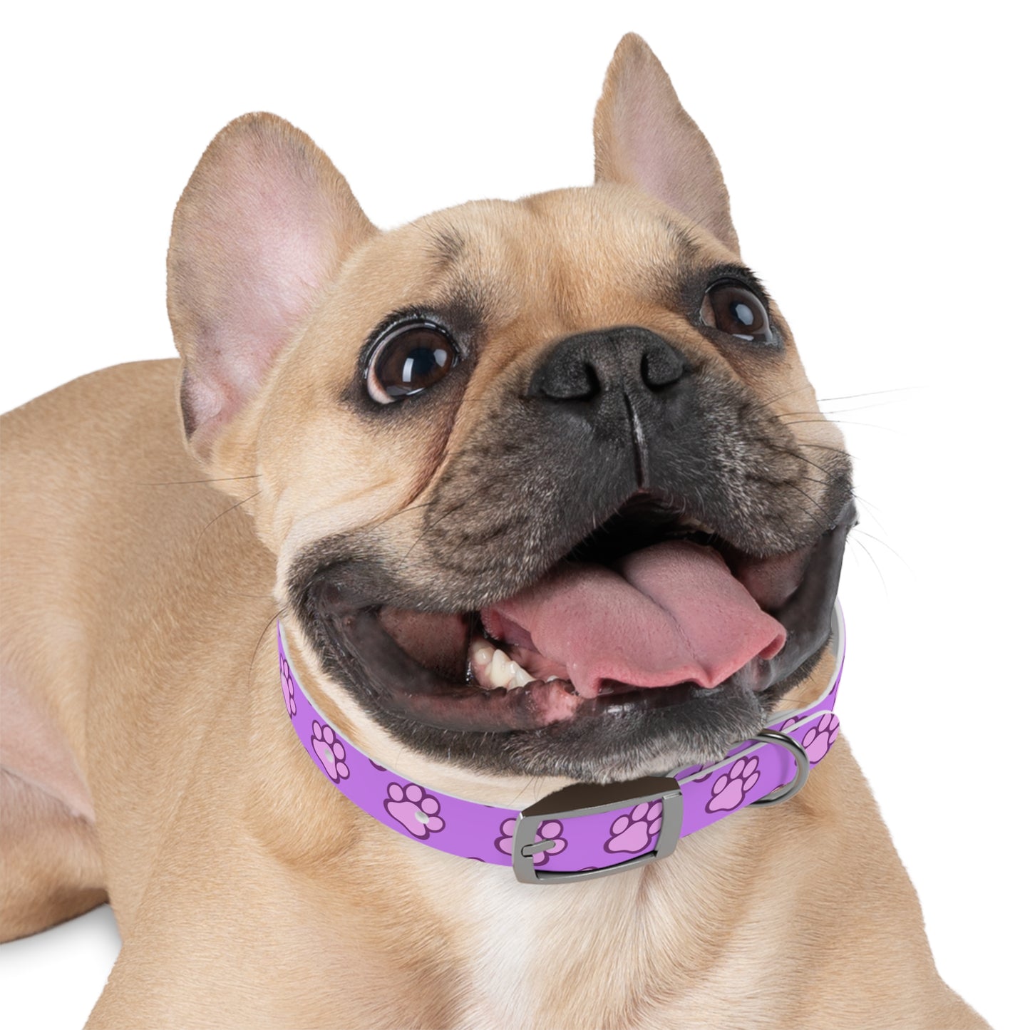 Dog Mom Pattern Dog Collar