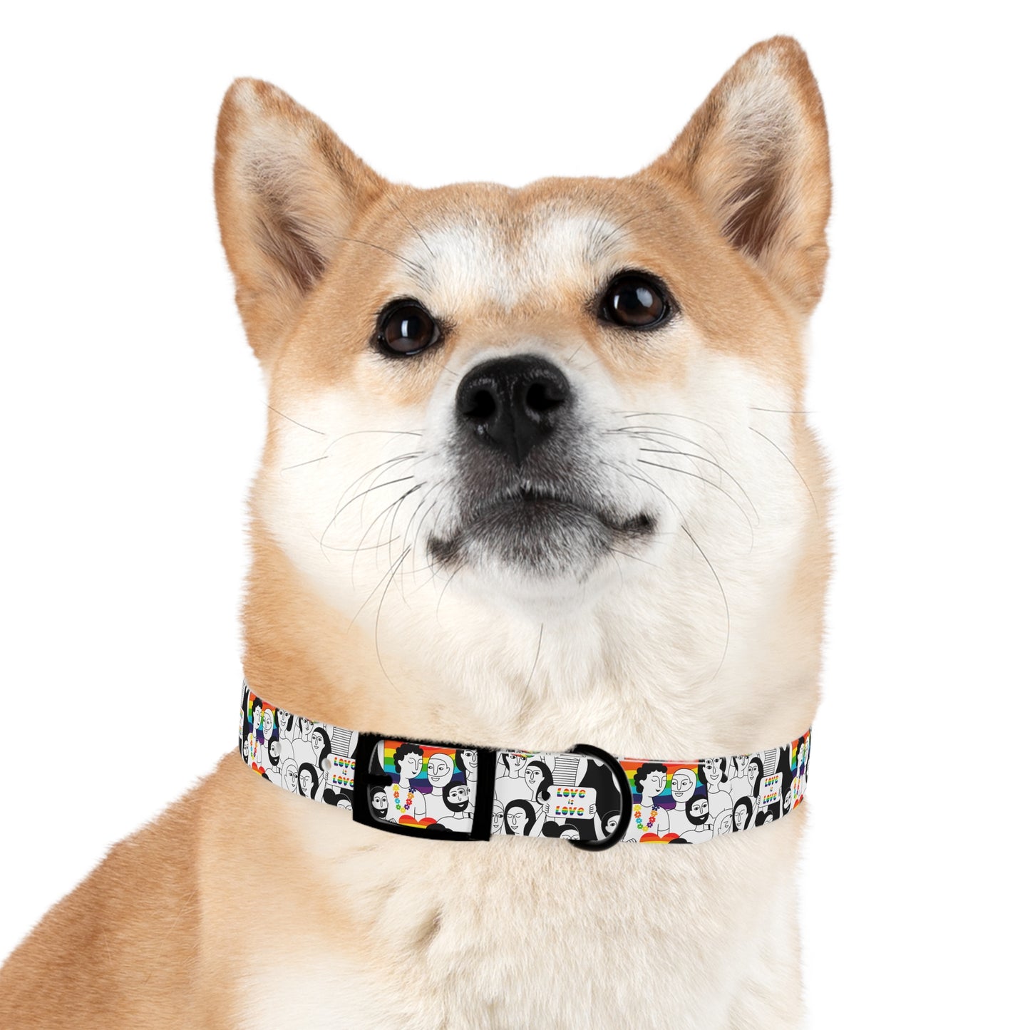 Love is Love Celebration Dog Collar