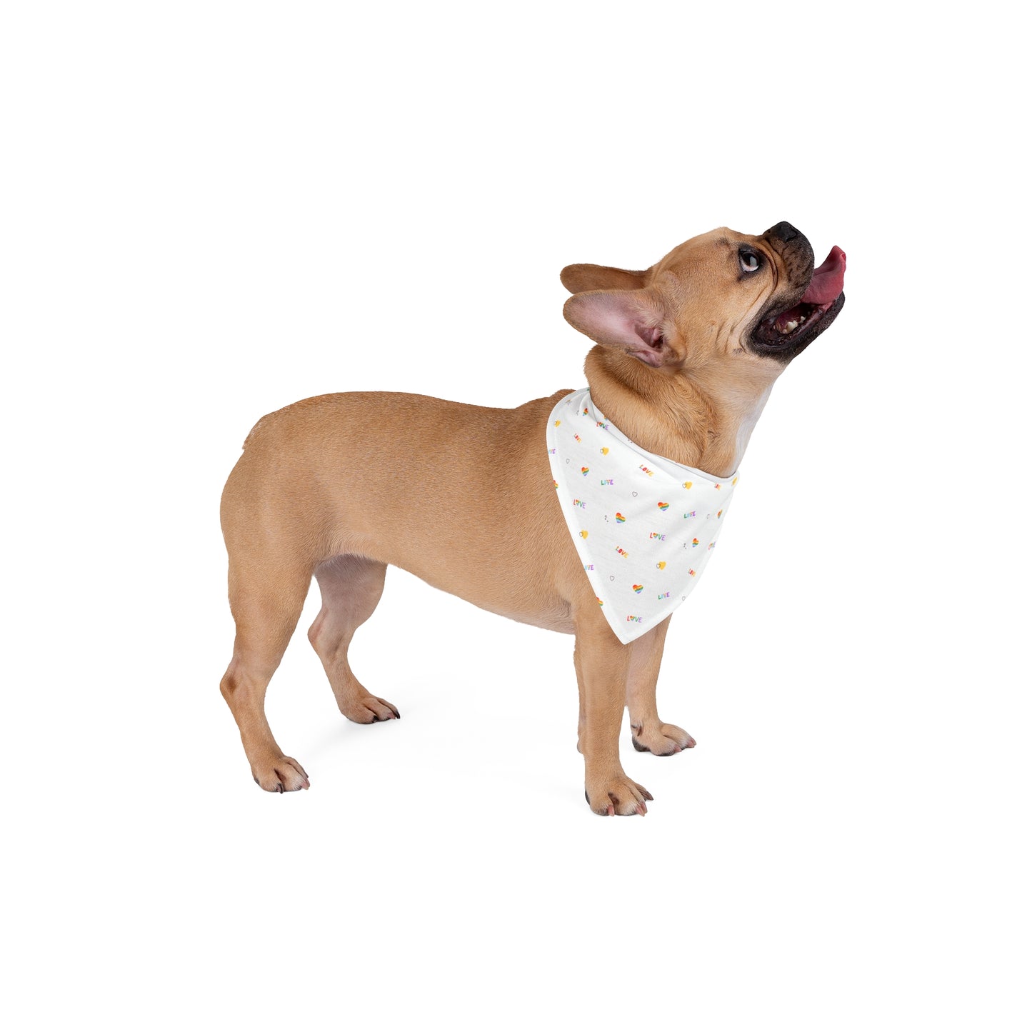 Rainbow Love Pet Bandana