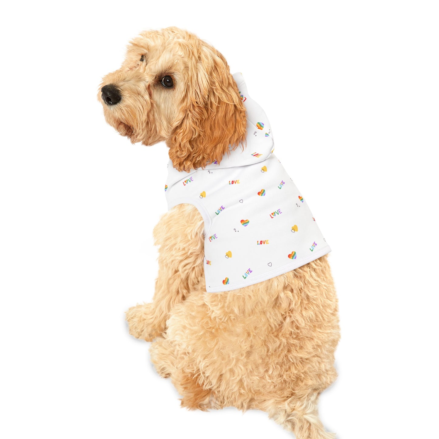 Rainbow Love Pet Hoodie