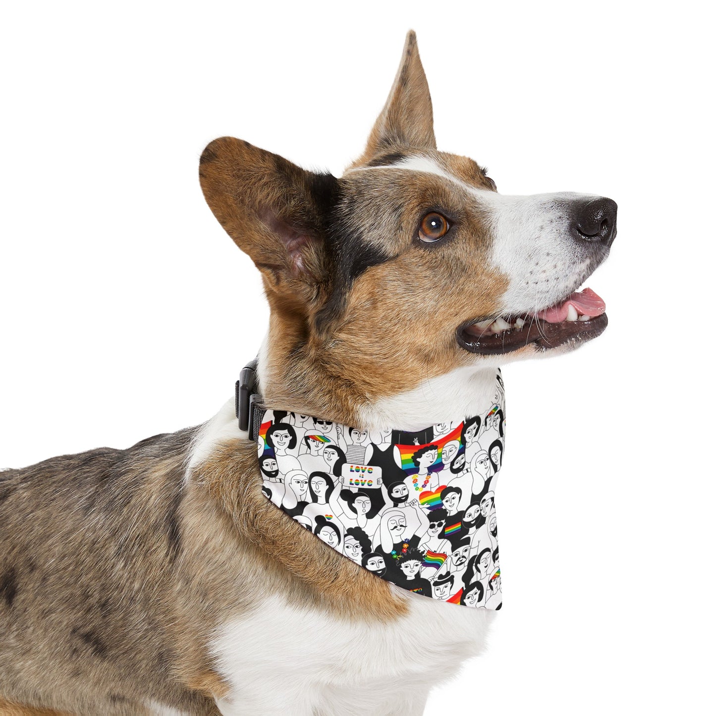 Love is Love Celebration Bandana Collar