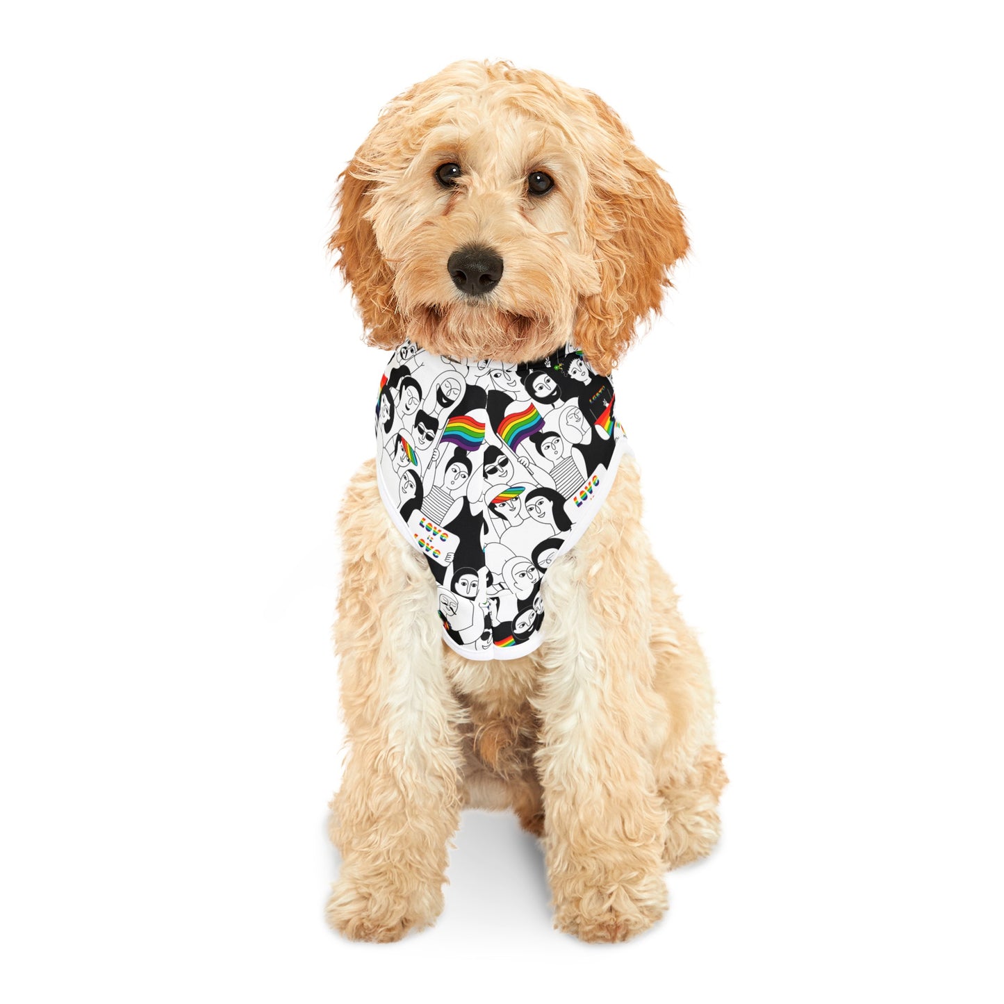 Love is Love Celebration Pet Hoodie