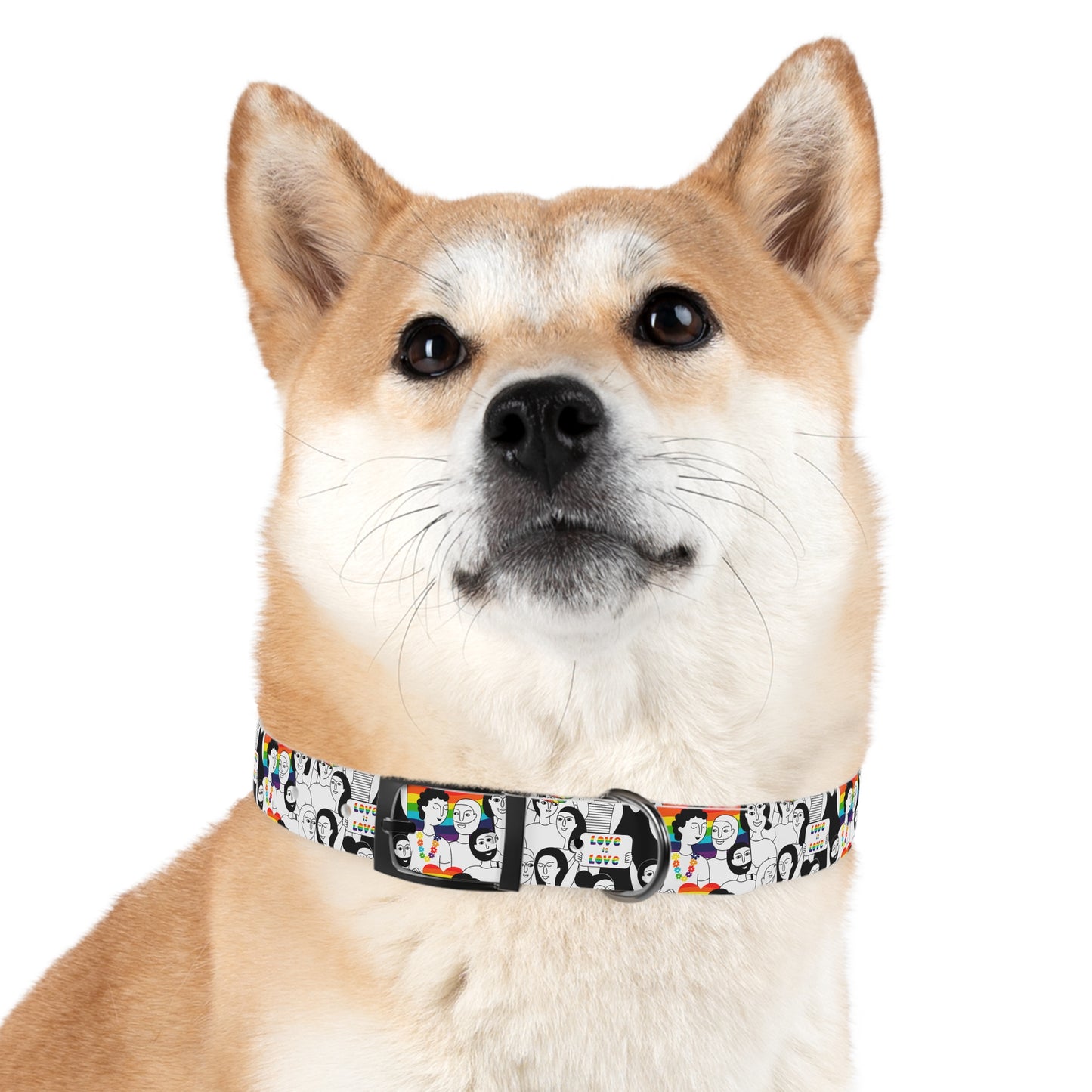 Love is Love Celebration Dog Collar