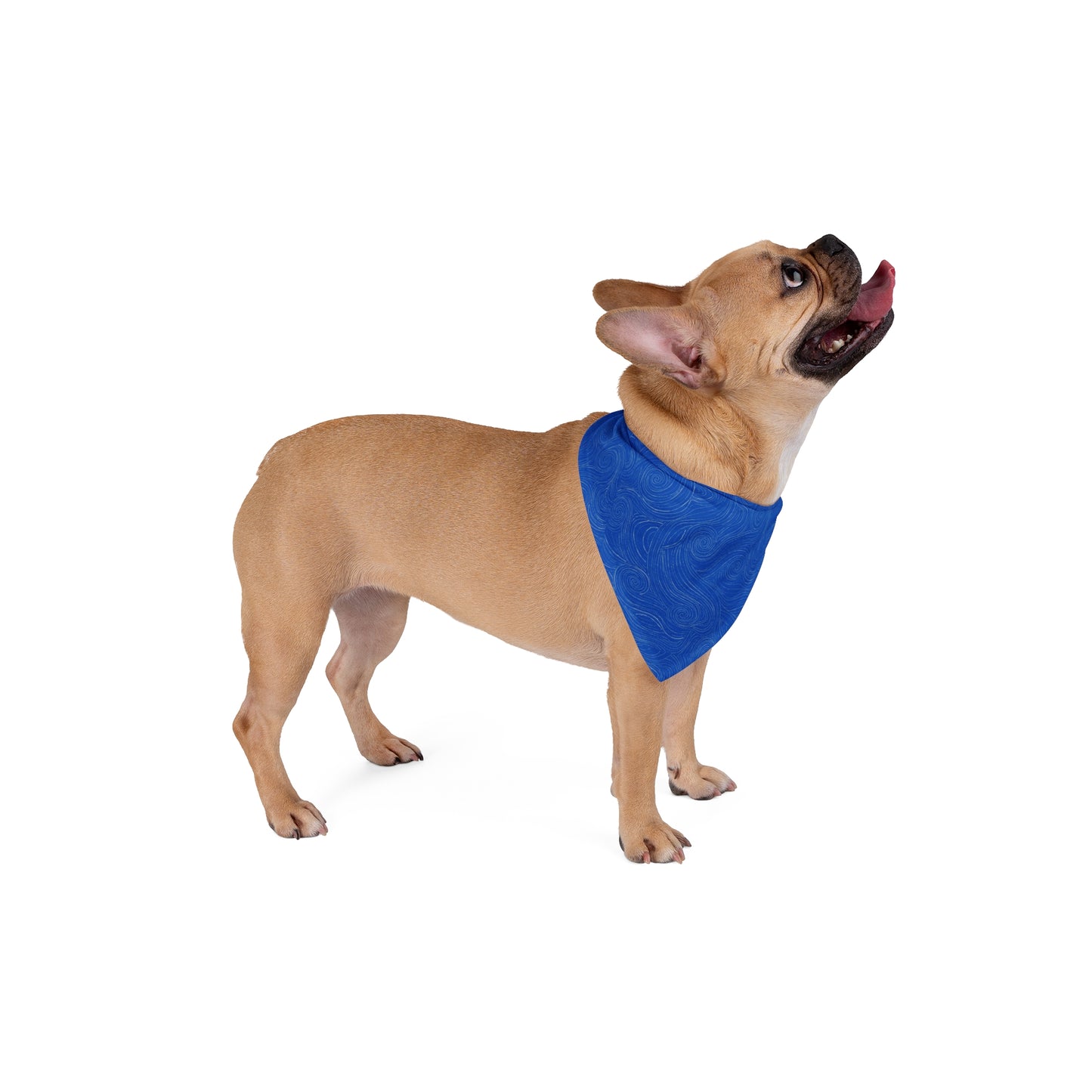 Ocean Tide Adventure Dog Bandana