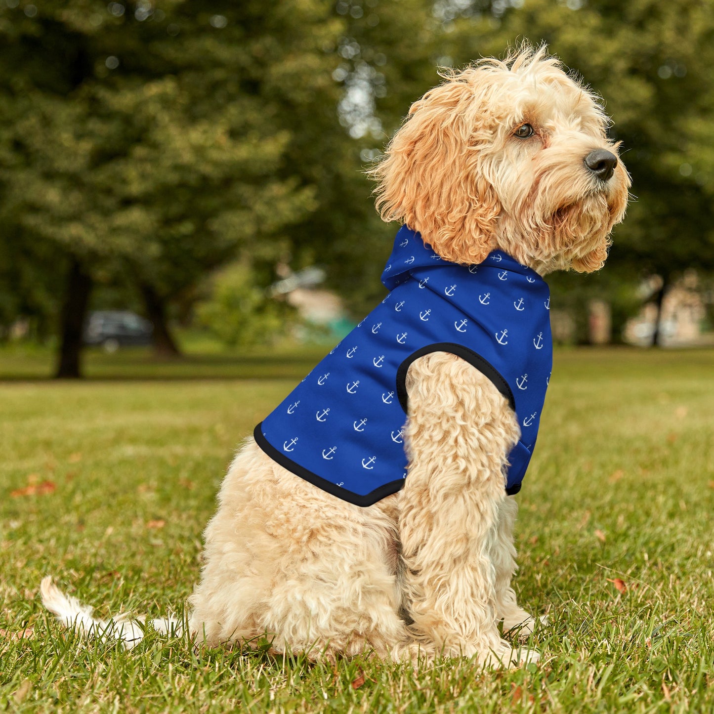 Preppy Anchor Pet Hoodie