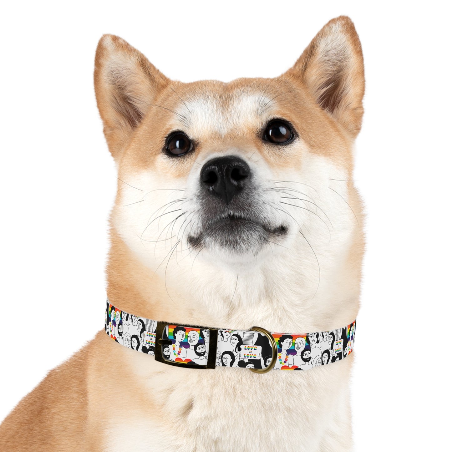 Love is Love Celebration Dog Collar