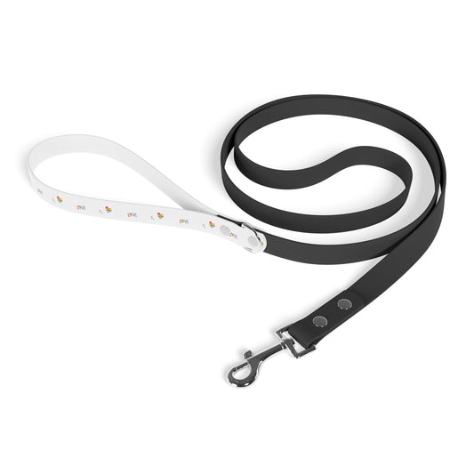 Rainbow love Leash