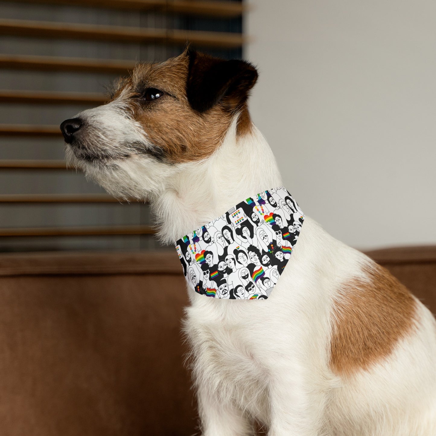 Love is Love Celebration Bandana Collar