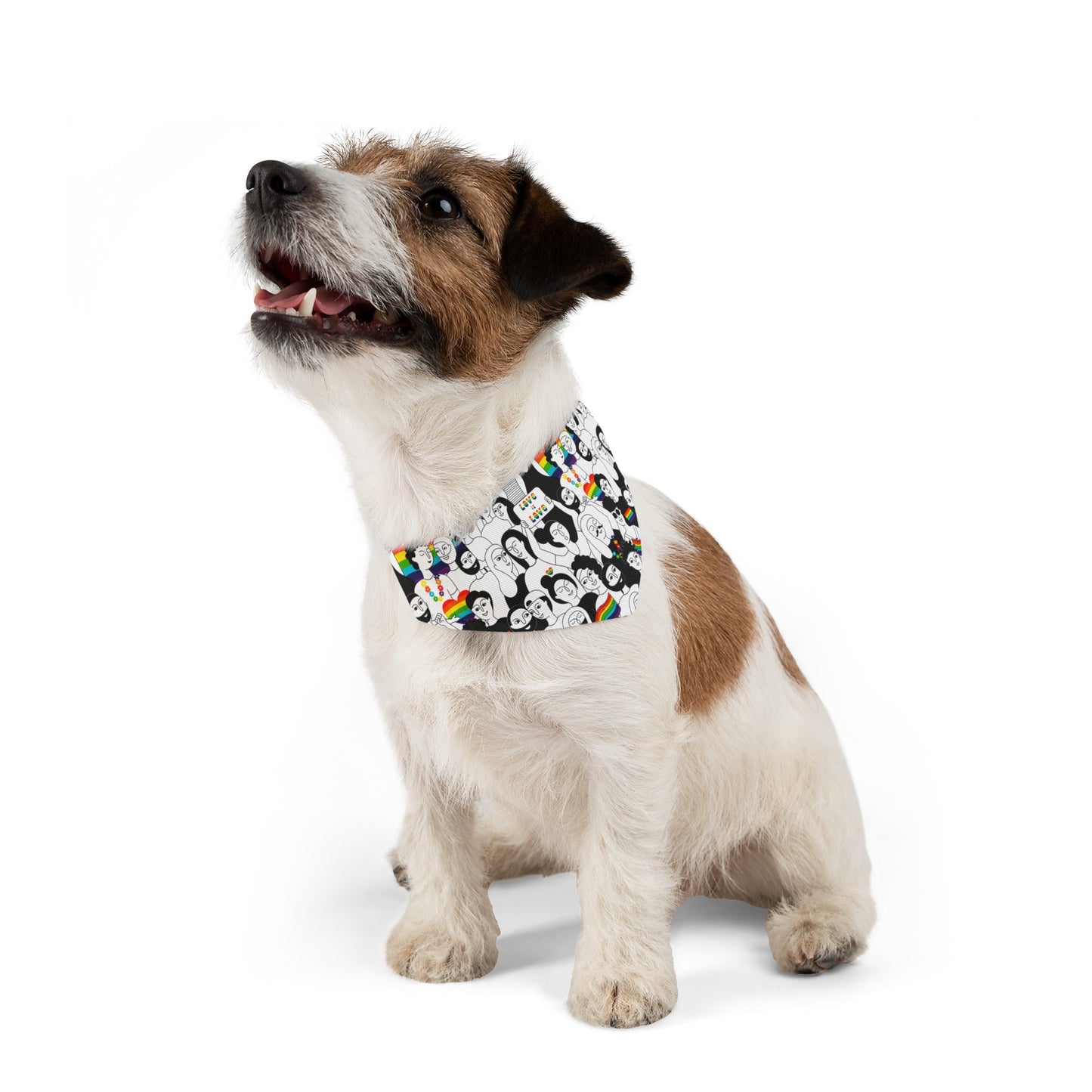 Love is Love Dog Bandana Collar