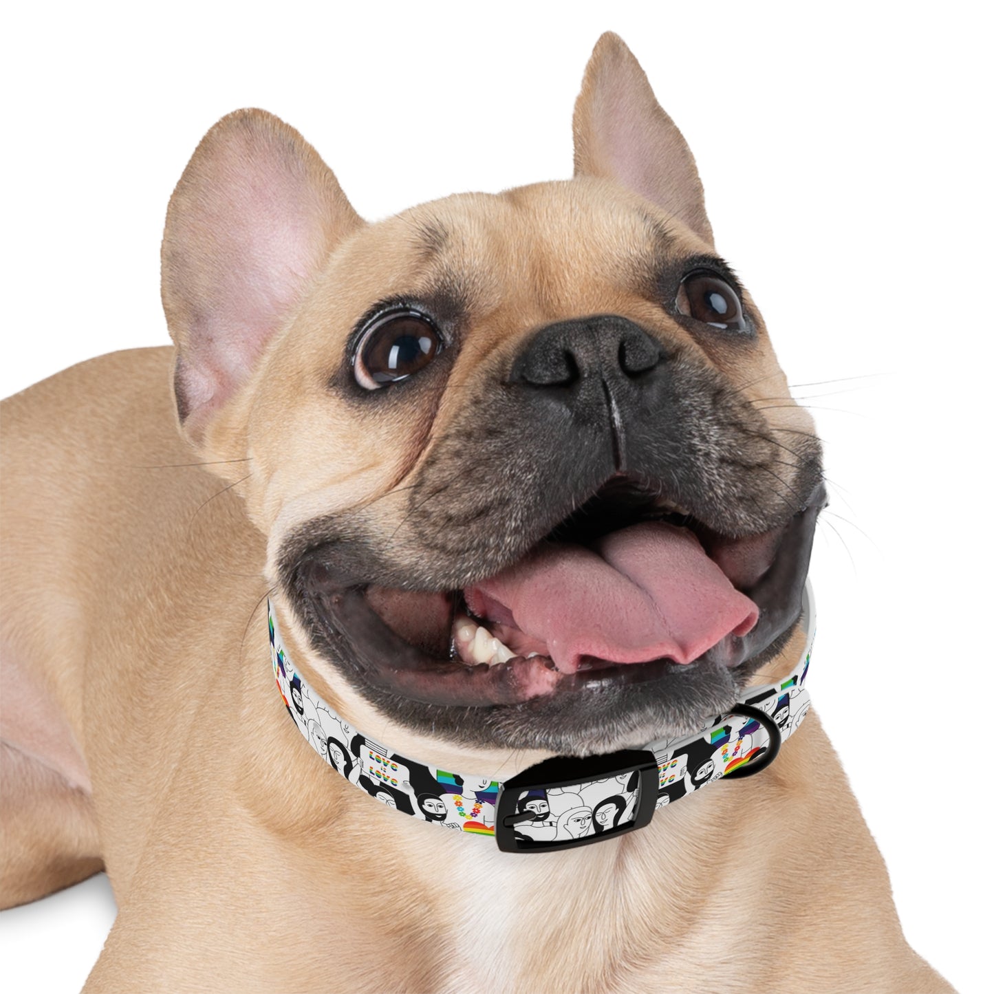 Love is Love Celebration Dog Collar