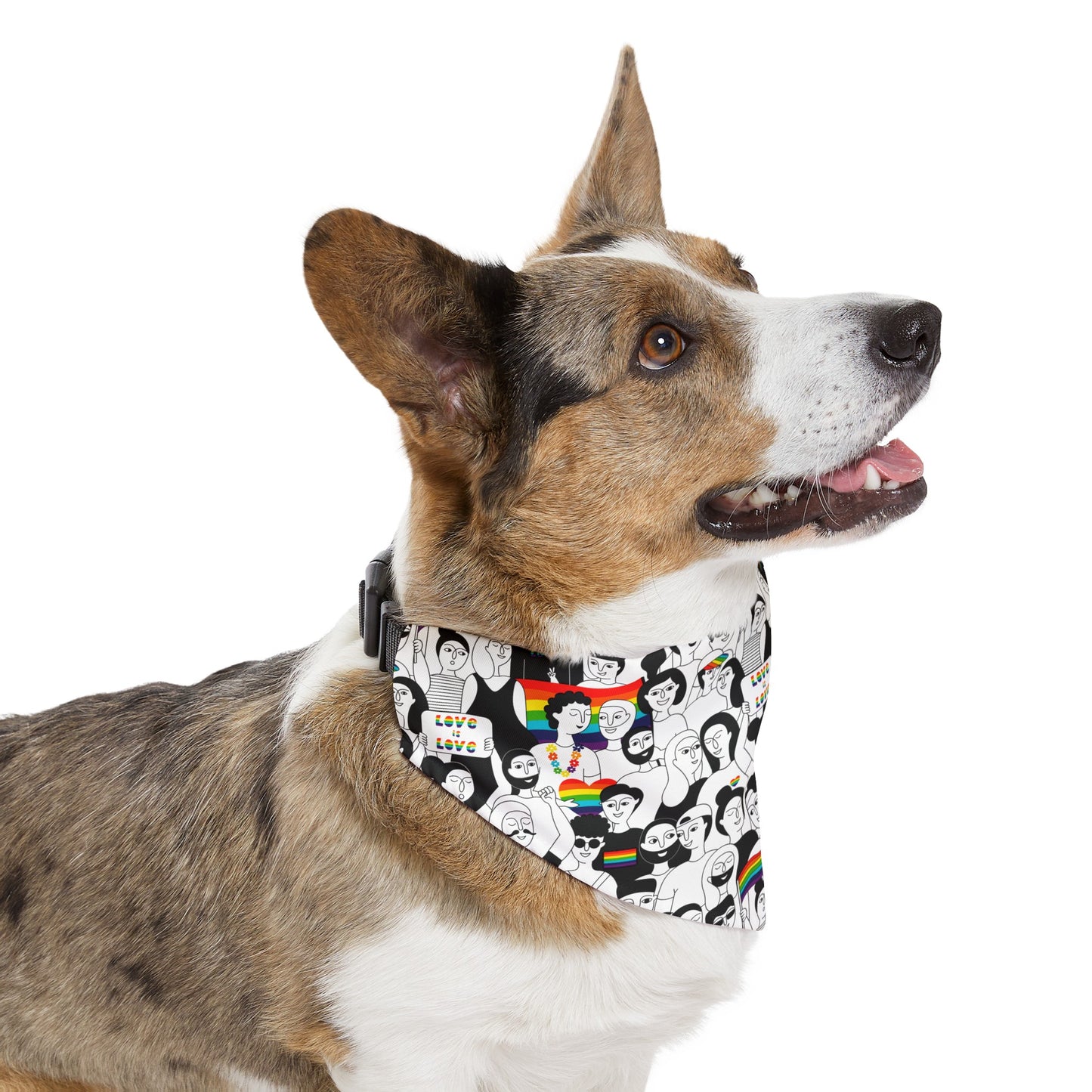 Love is Love Dog Bandana Collar