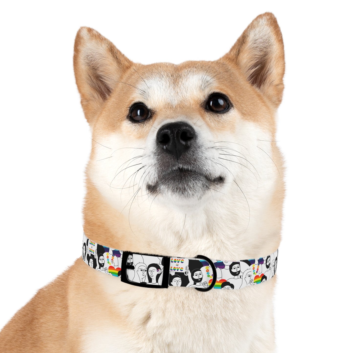 Love is Love Celebration Dog Collar