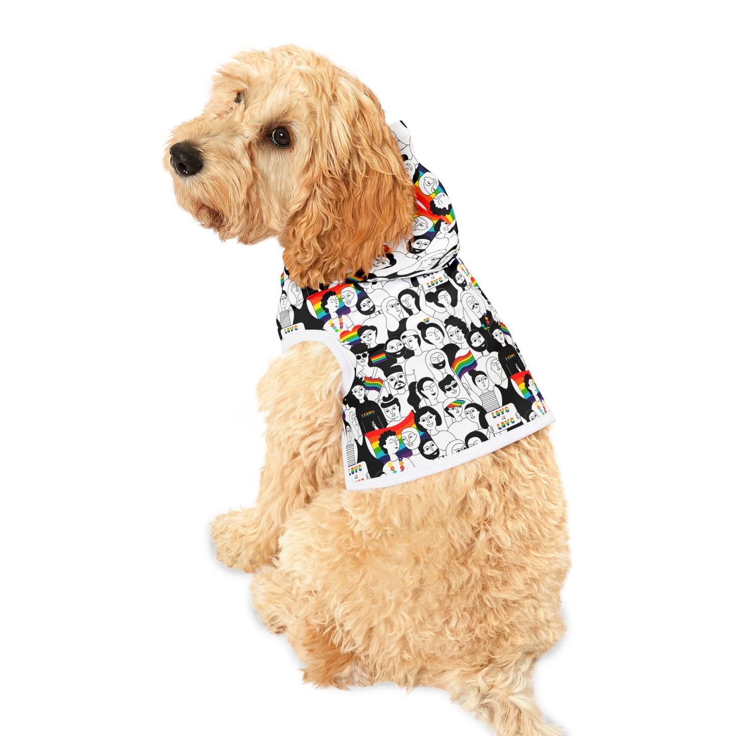 Love is Love Celebration Pet Hoodie