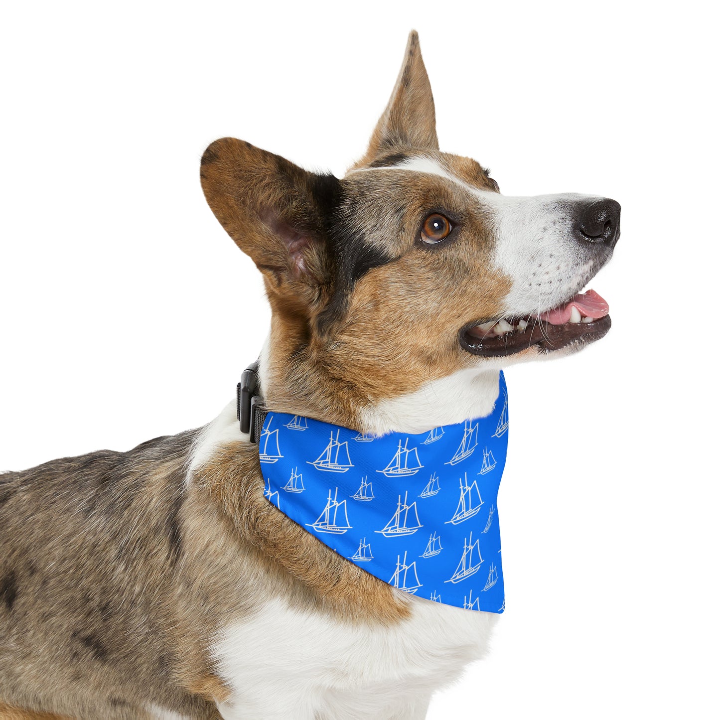 Preppy Paws Nautical Adventure Bandana