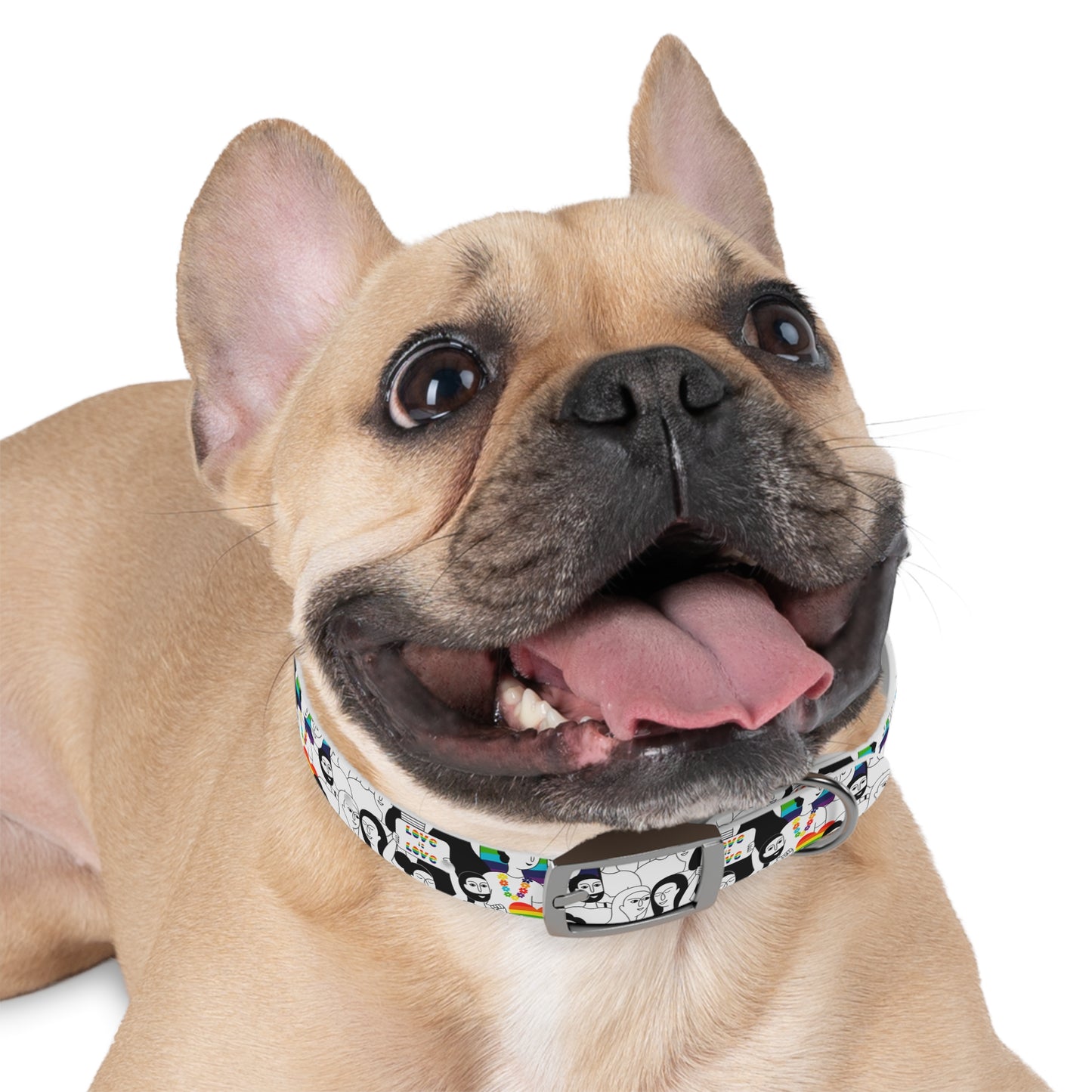 Love is Love Celebration Dog Collar