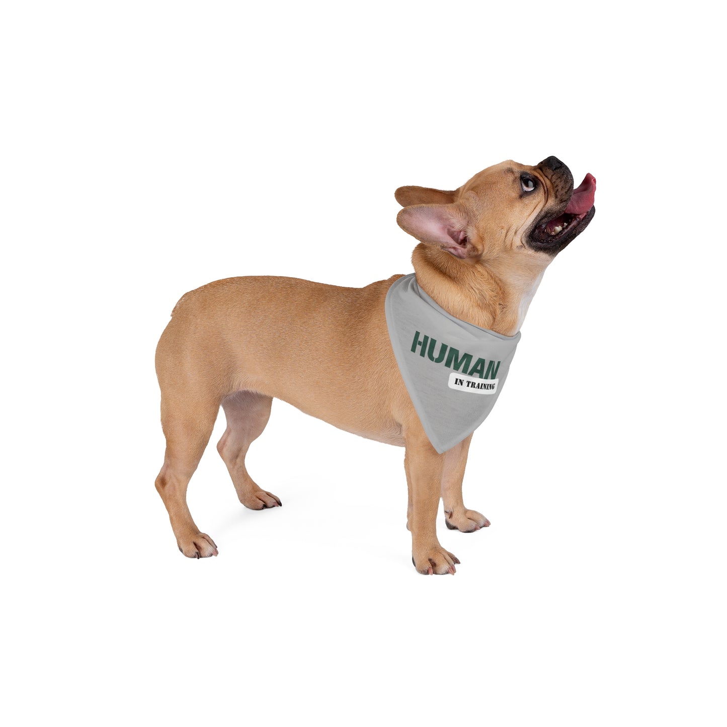 Human In Training Pet Bandana