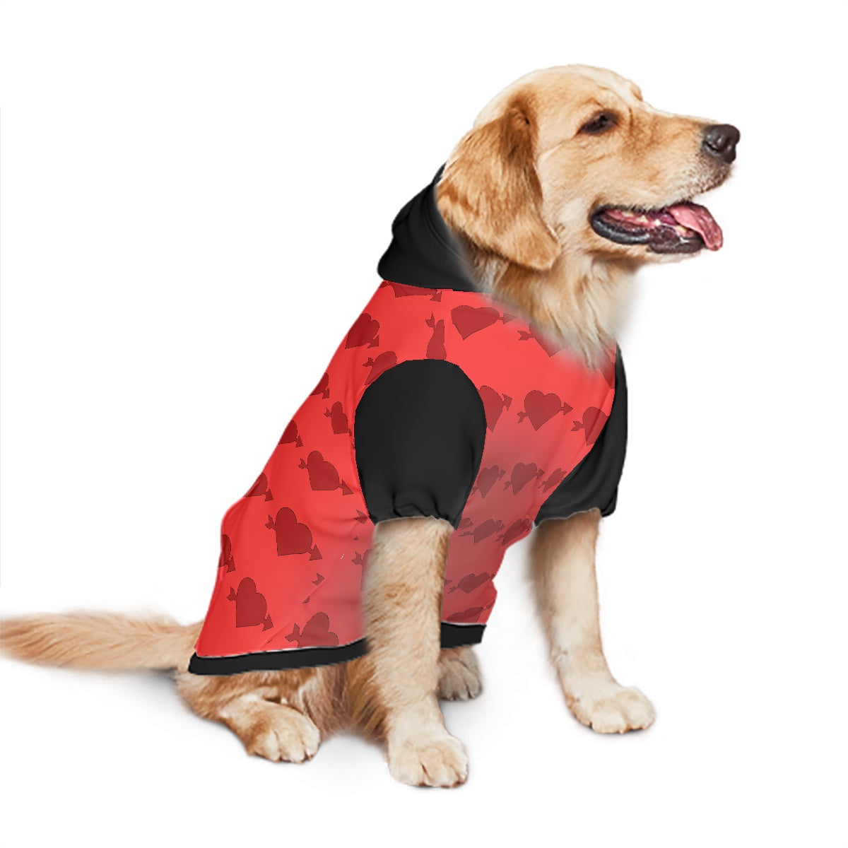 Puppy Love Dog Hoodie