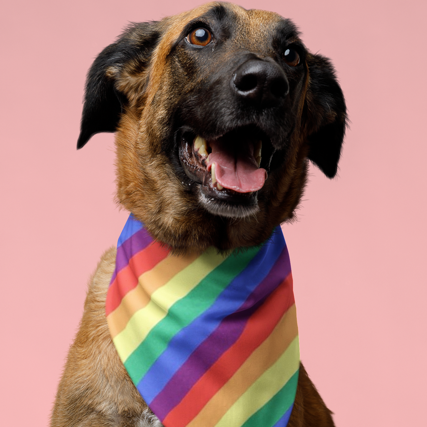 Rainbow Dog Bandana