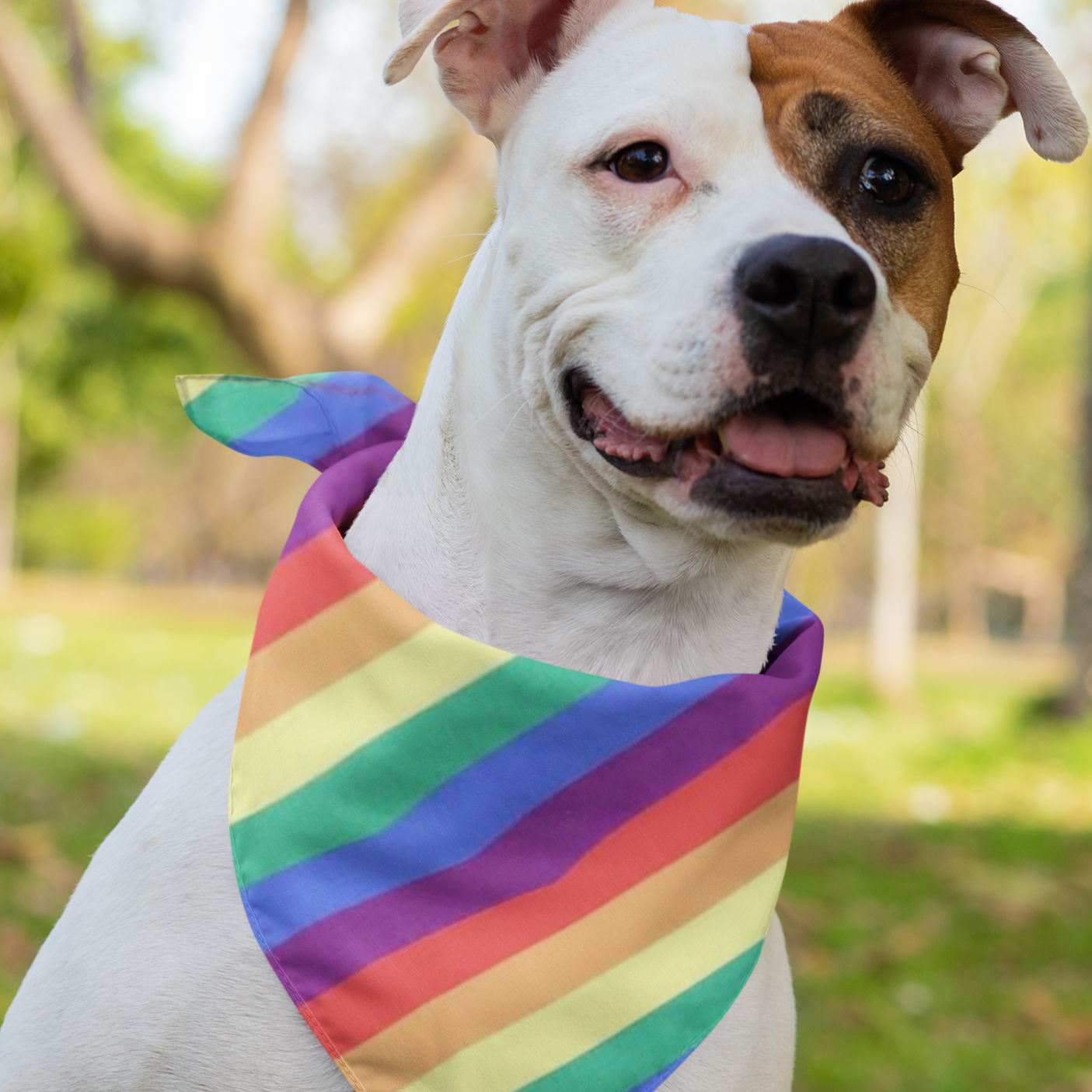 Rainbow Dog Bandana